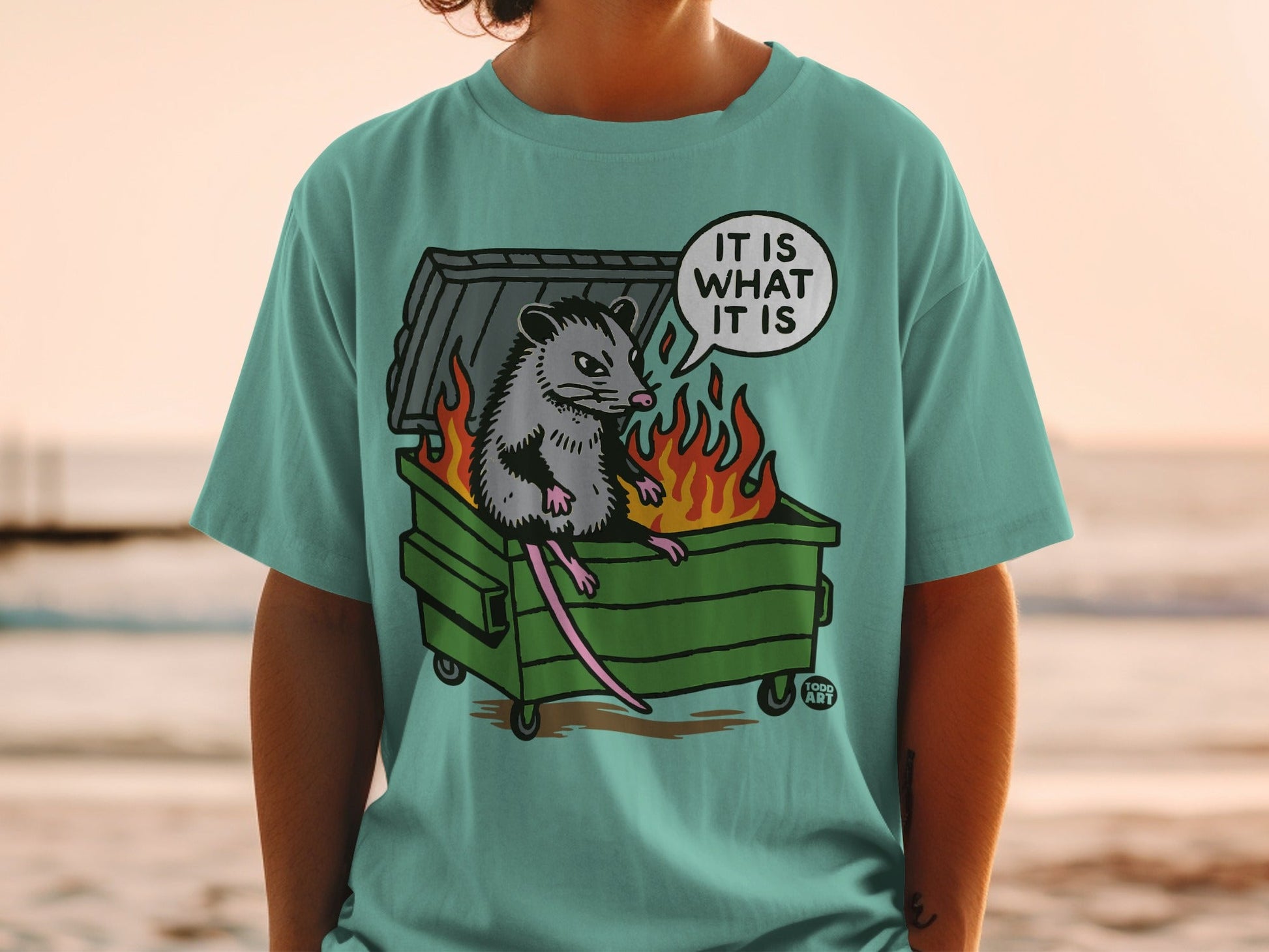 Opossum in a dumpster on fire with text "It is what it is".