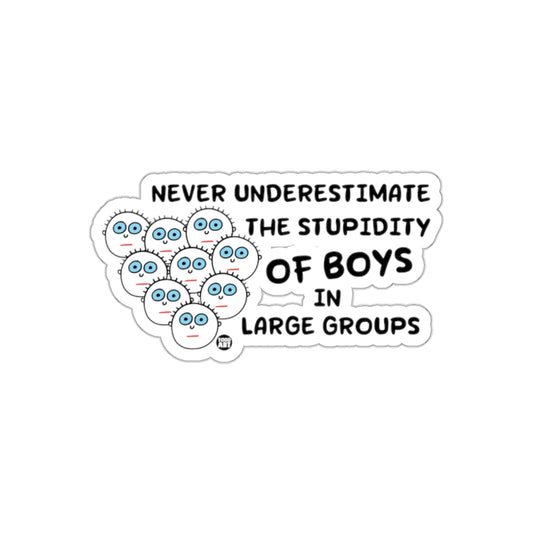 Never Underestimate the Stupidity of Boys Sticker