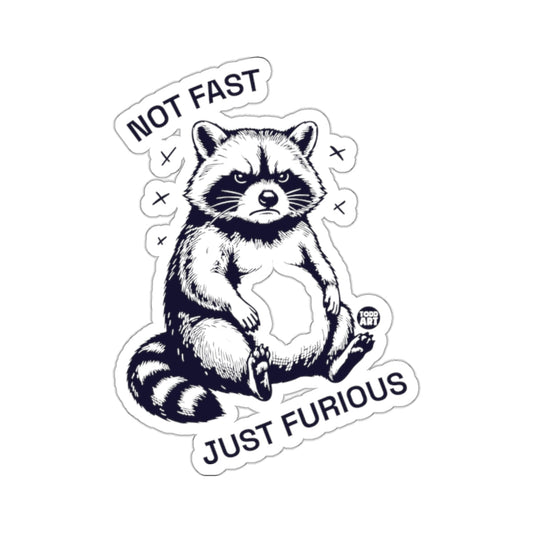 Not Fast Just Furious Angry Raccoon 