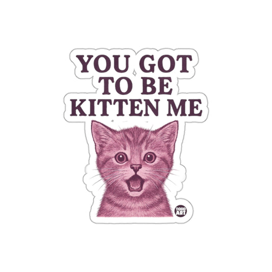 You Got To Be Kitten Me Cute Cat Illustration Sticker