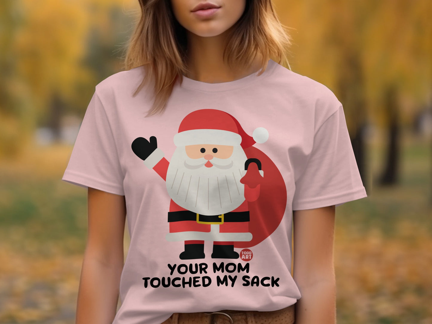Santa Claus Your Mom Touched My Sack T-shirt