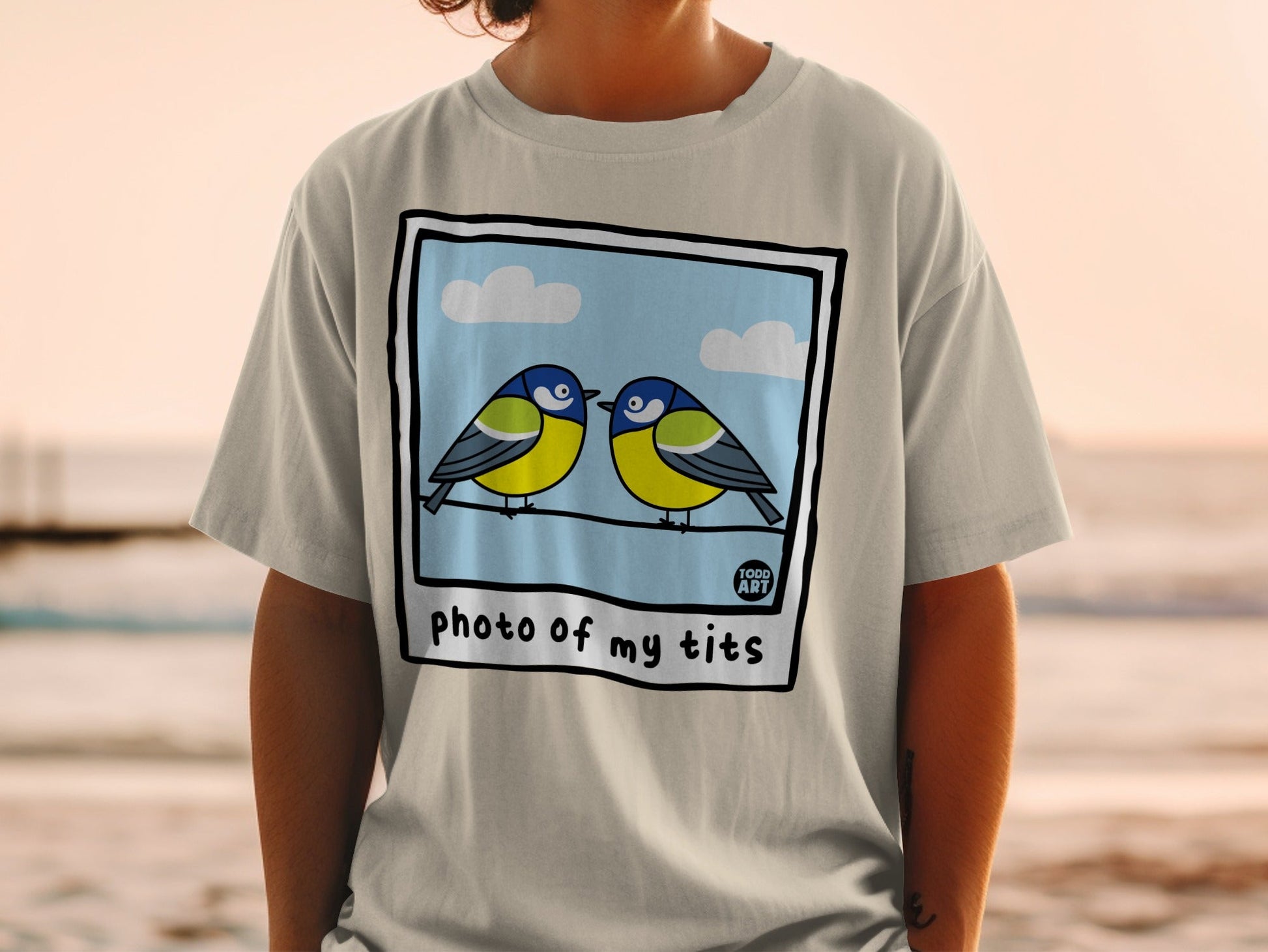 Two blue and yellow birds on a wire in a framed illustration.