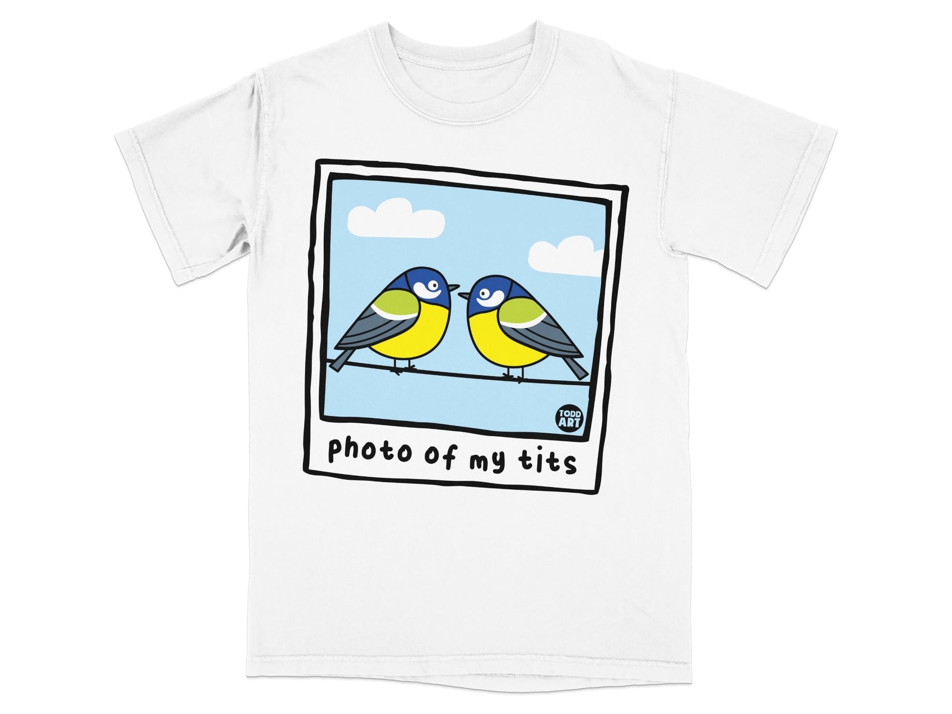Two cartoon blue tits perched on a wire under a blue sky with clouds.