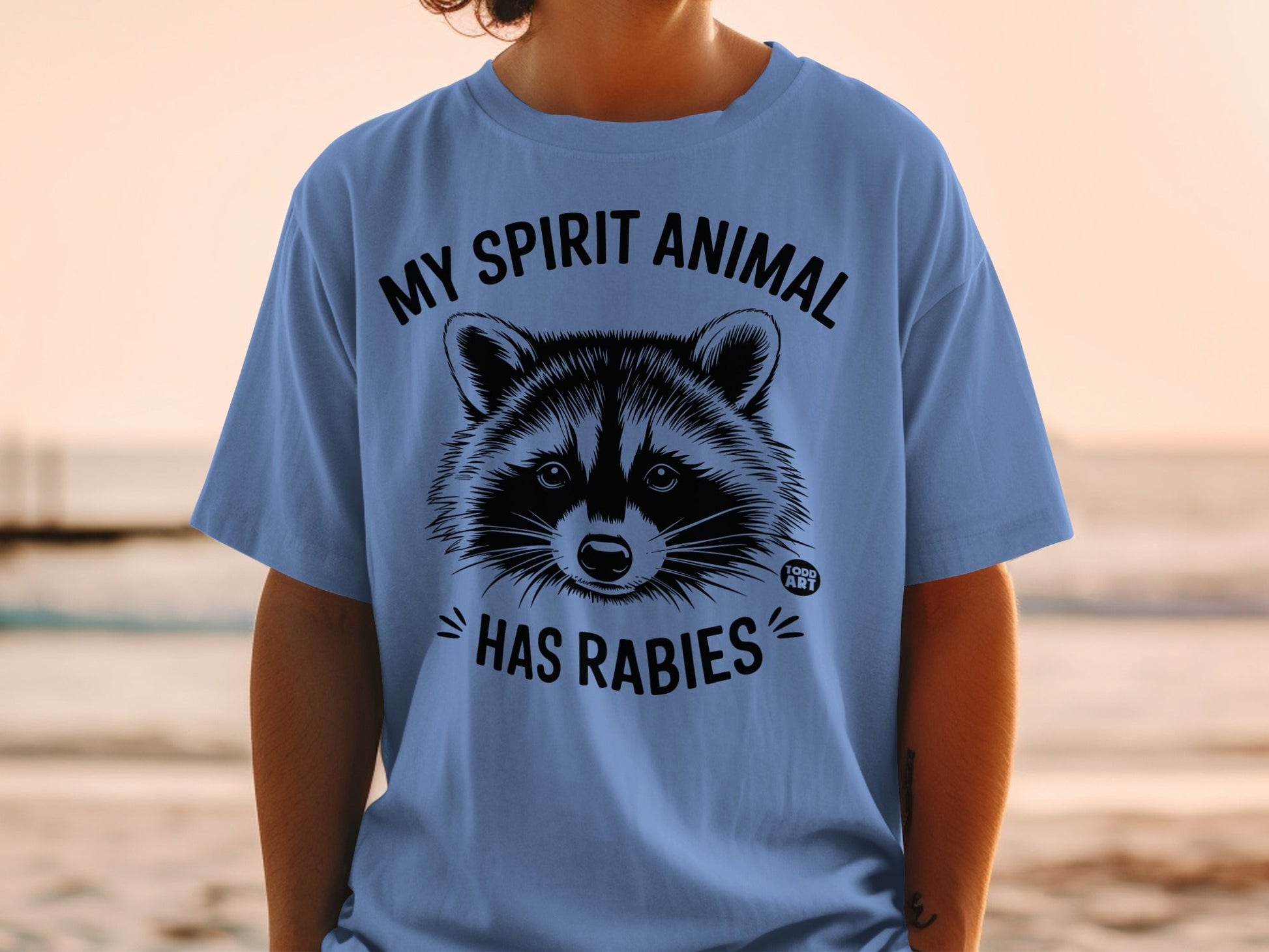 T-shirt with a raccoon graphic and text "My spirit animal has rabies."