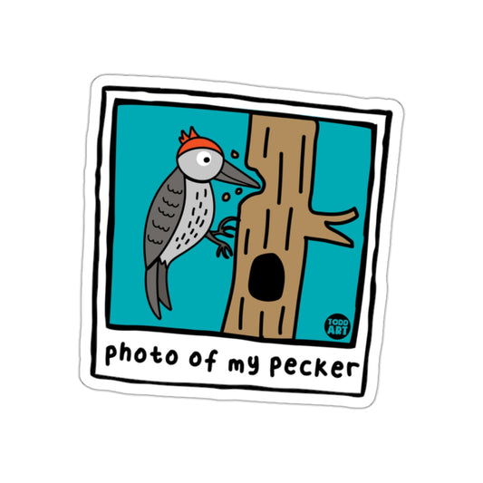 Photo Of My Pecker Funny Bird Cartoon Todd Art Design Stickers