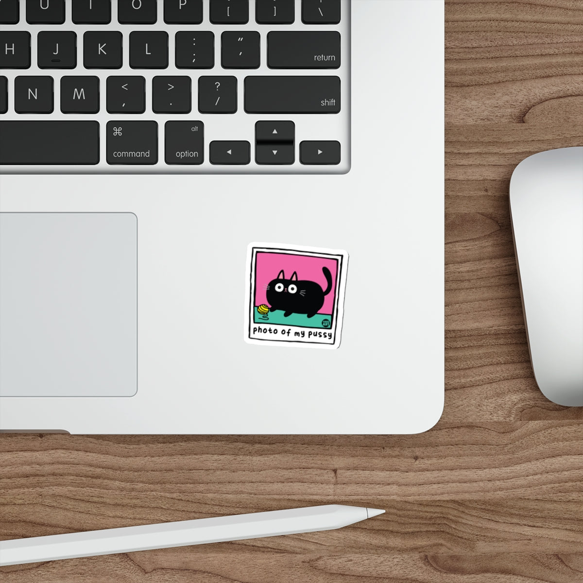 Photo Of My Pussy Black Cat Funny Pun Art Stickers