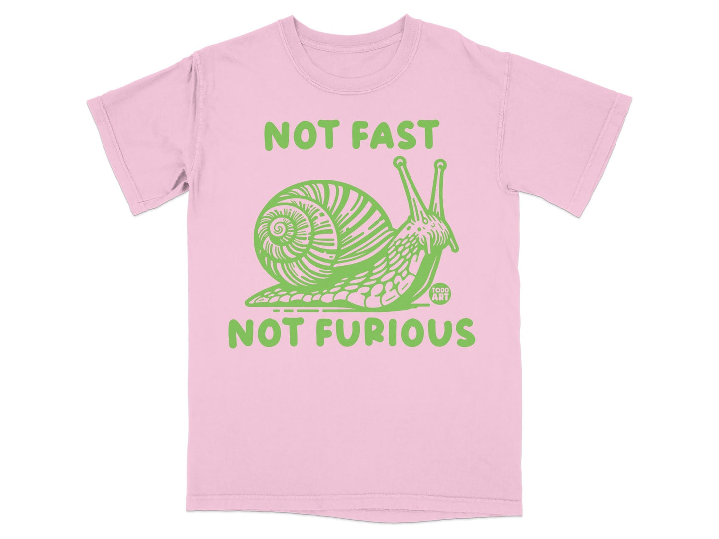 Not Fast Not Furious Snail Graphic T-Shirt