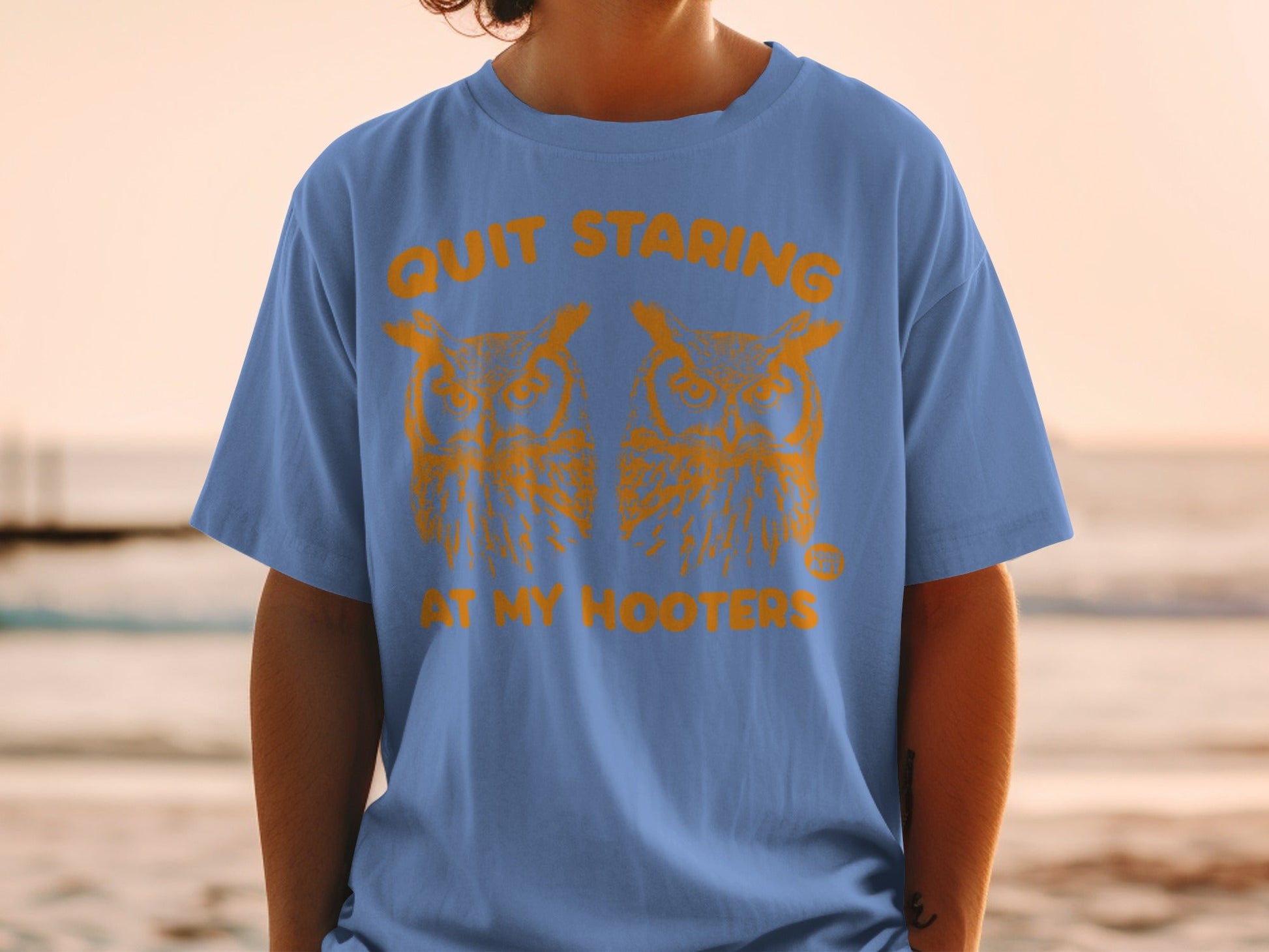 Blue t-shirt with orange graphic of two owls and text "Quit Staring At My Hooters".
