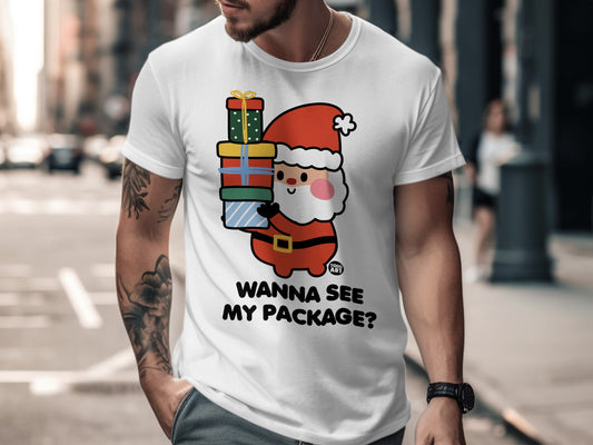 Wanna See My Package Santa Graphic T-Shirt