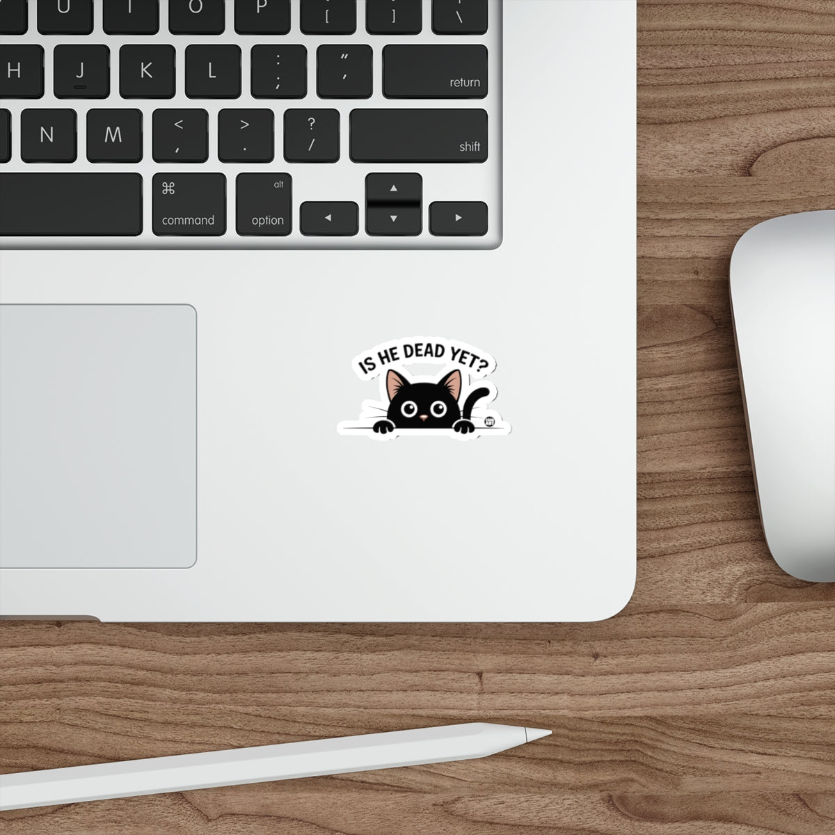 Peeking Black Cat IS HE DEAD YET? Humorous Design 