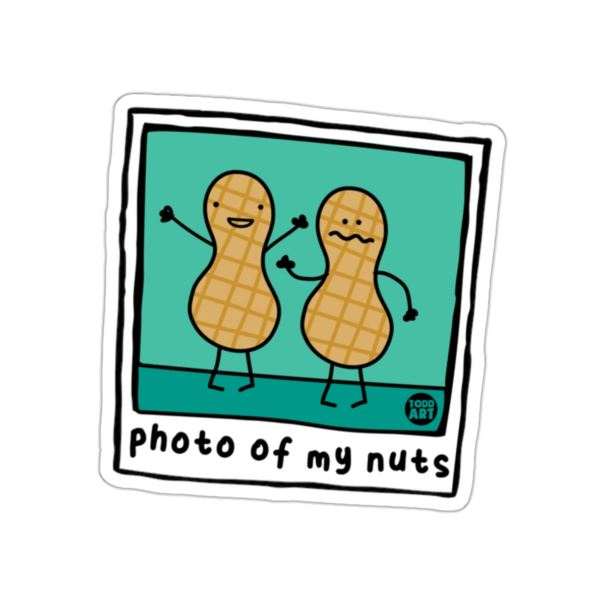 Photo Of My Nuts Pun Illustration From Todd Art sticker