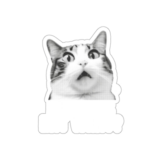 Surprised Cat Funny Meme Sticker for Laptops and Cars