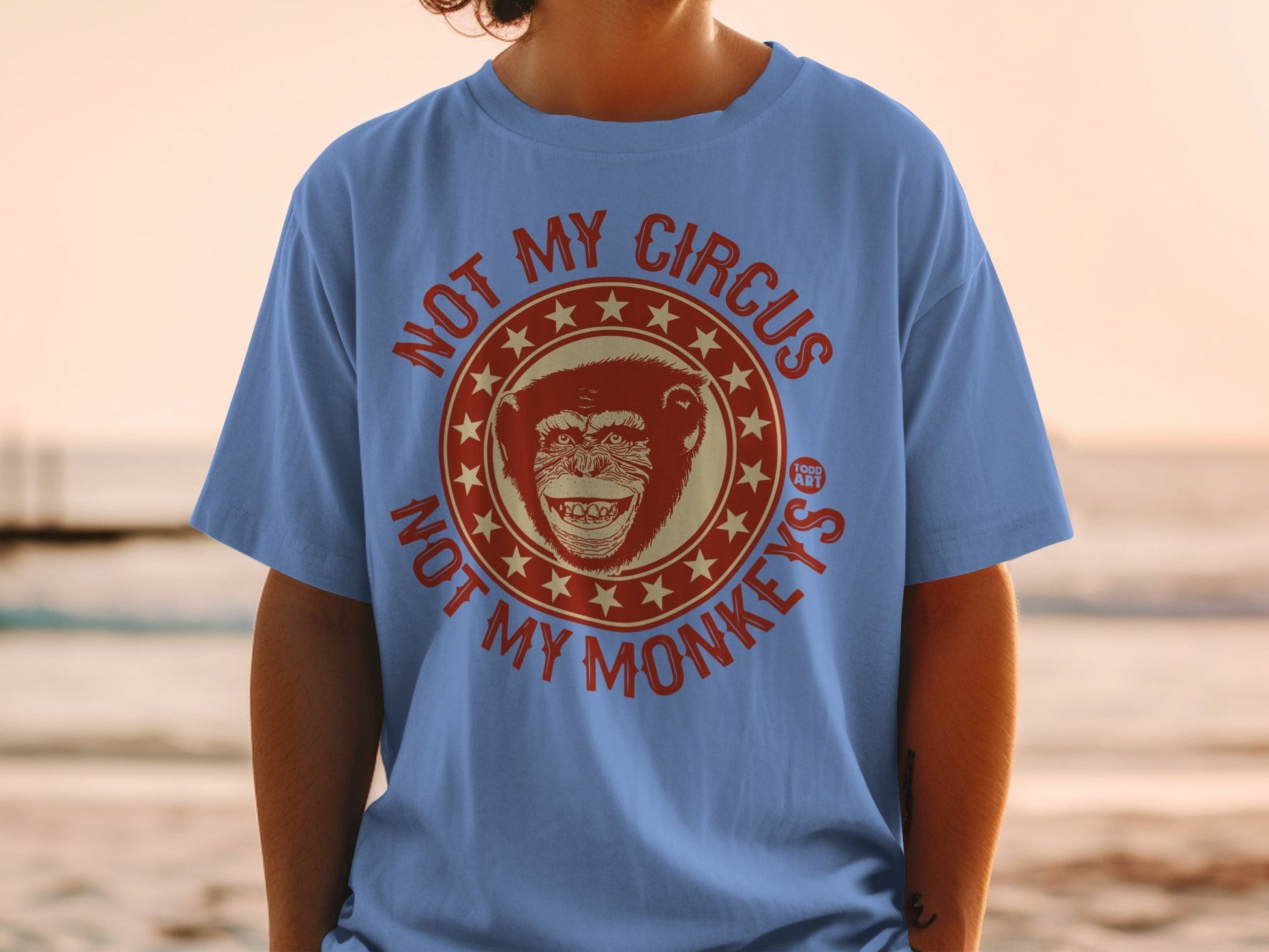 Blue t-shirt with "NOT MY CIRCUS NOT MY MONKEYS" text and monkey graphic.