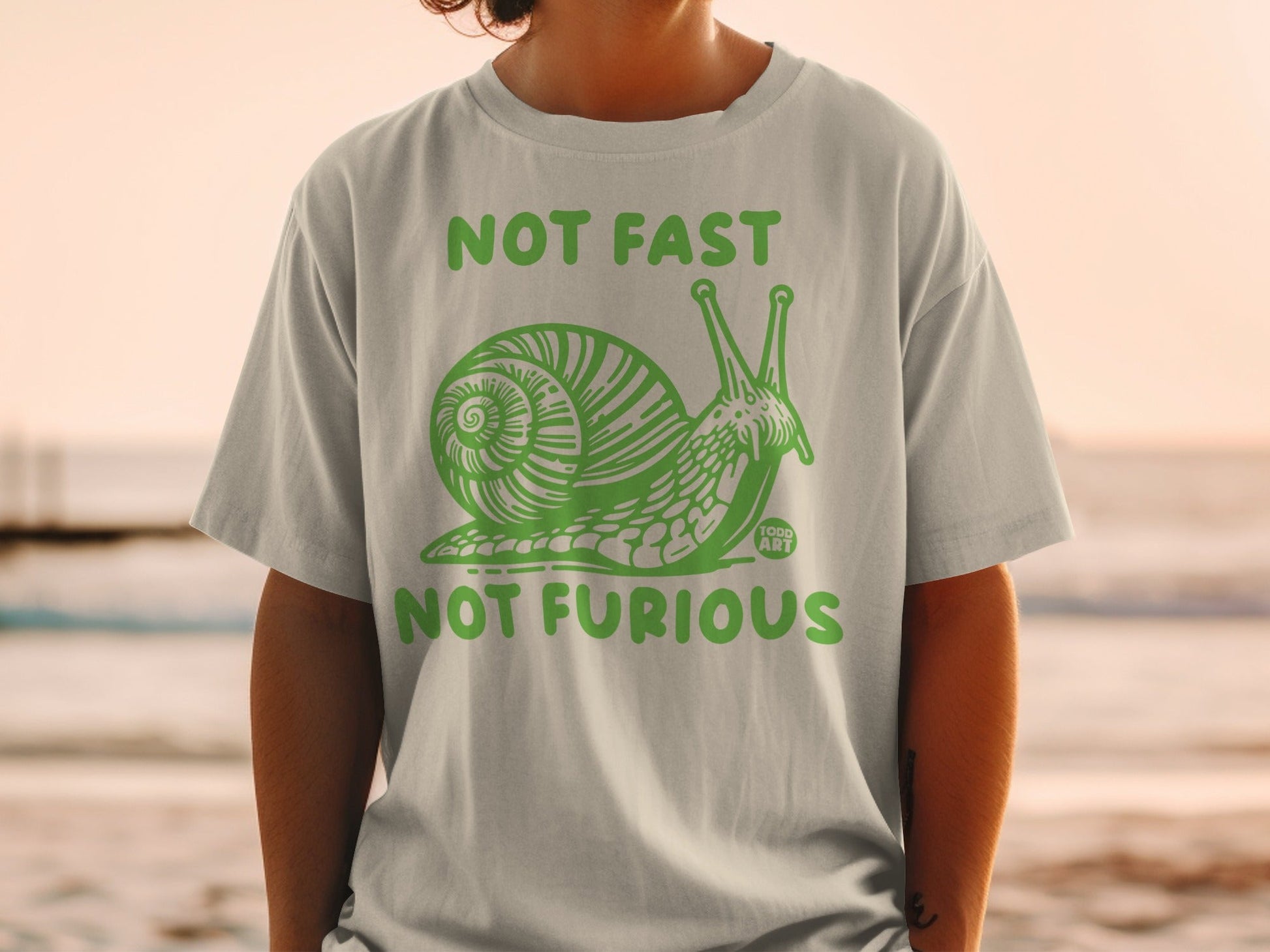 Not Fast Not Furious Funny Snail T-shirt product