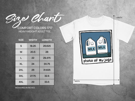 Comfort Colors 1717 size chart with milk carton graphic.