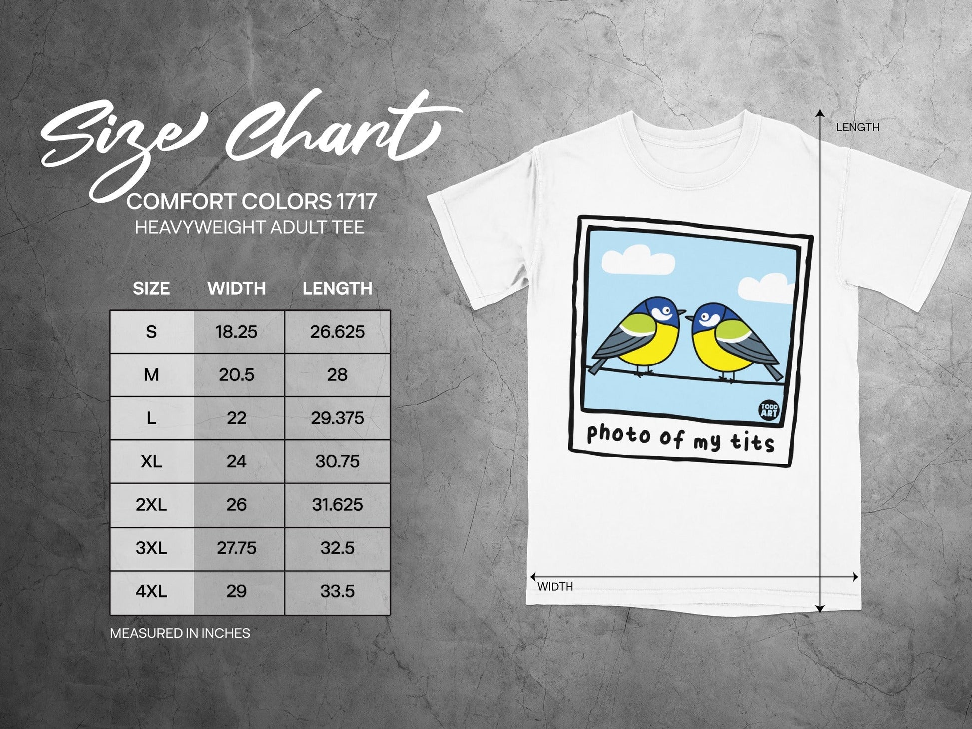 Comfort Colors 1717 size chart with cartoon birds and "photo of my tits" text.