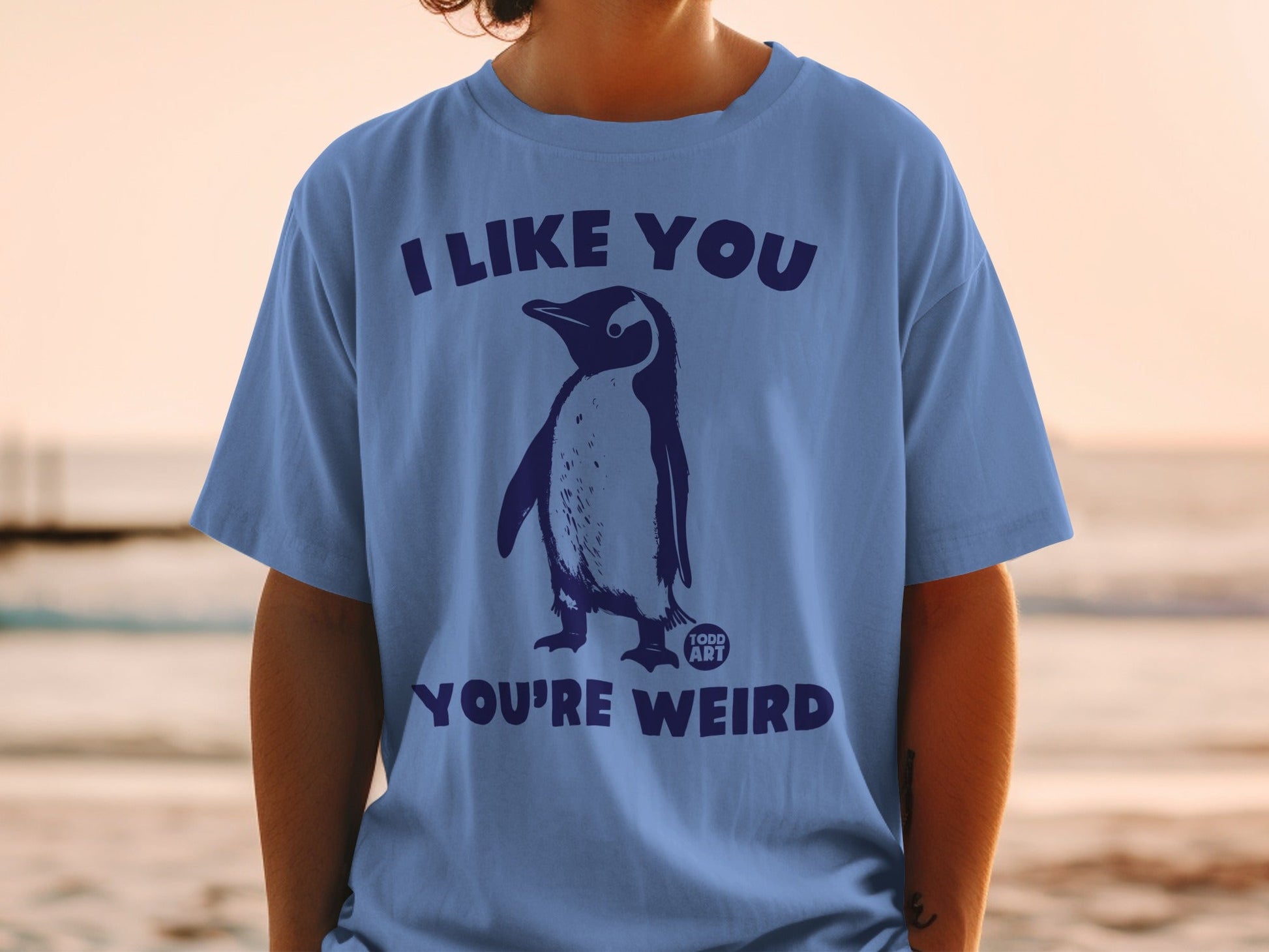 Blue t-shirt with a penguin graphic and text "I LIKE YOU YOU'RE WEIRD".
