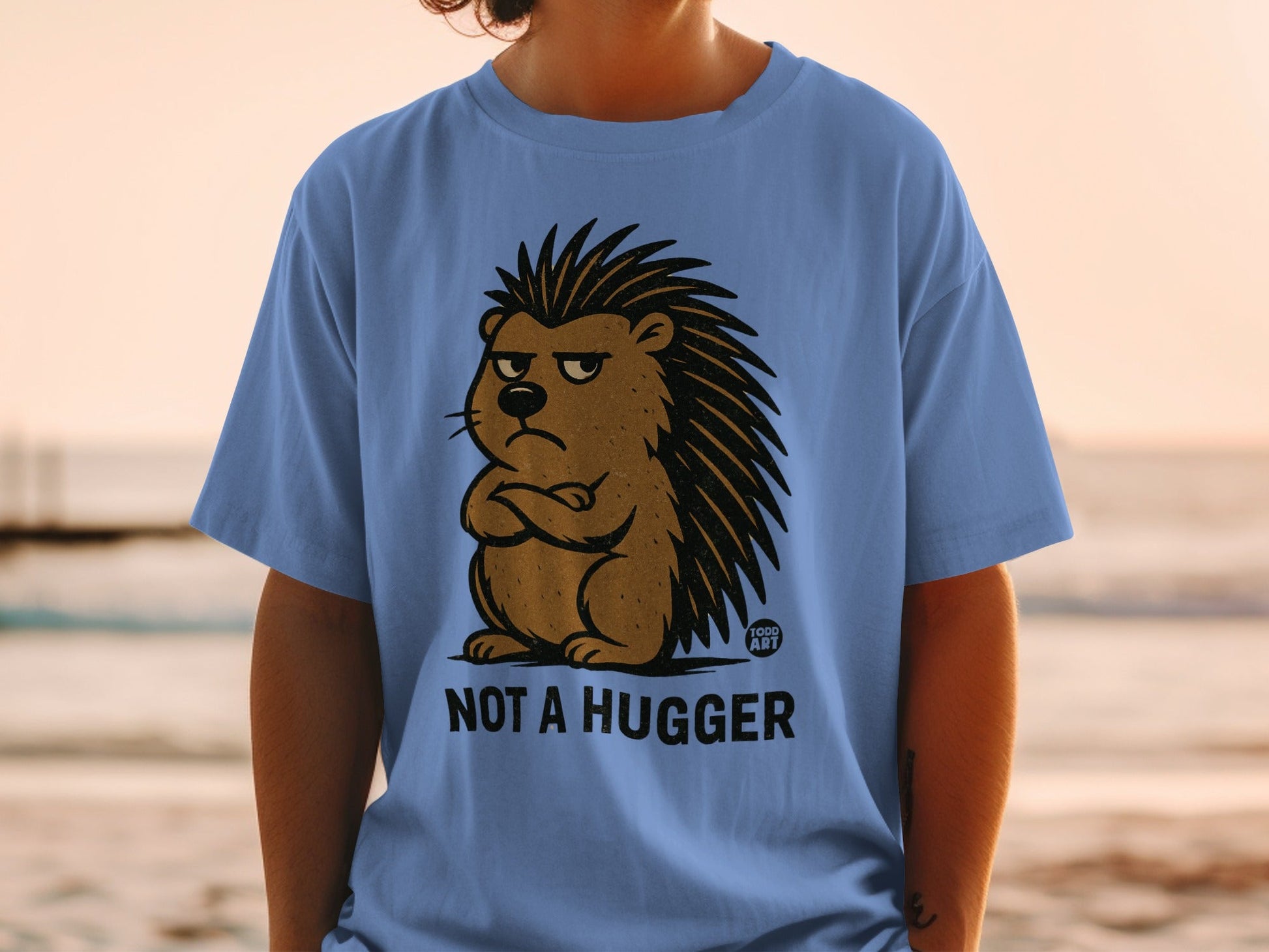 Not A Hugger Hedgehog Graphic Tee Todd Art Shirt