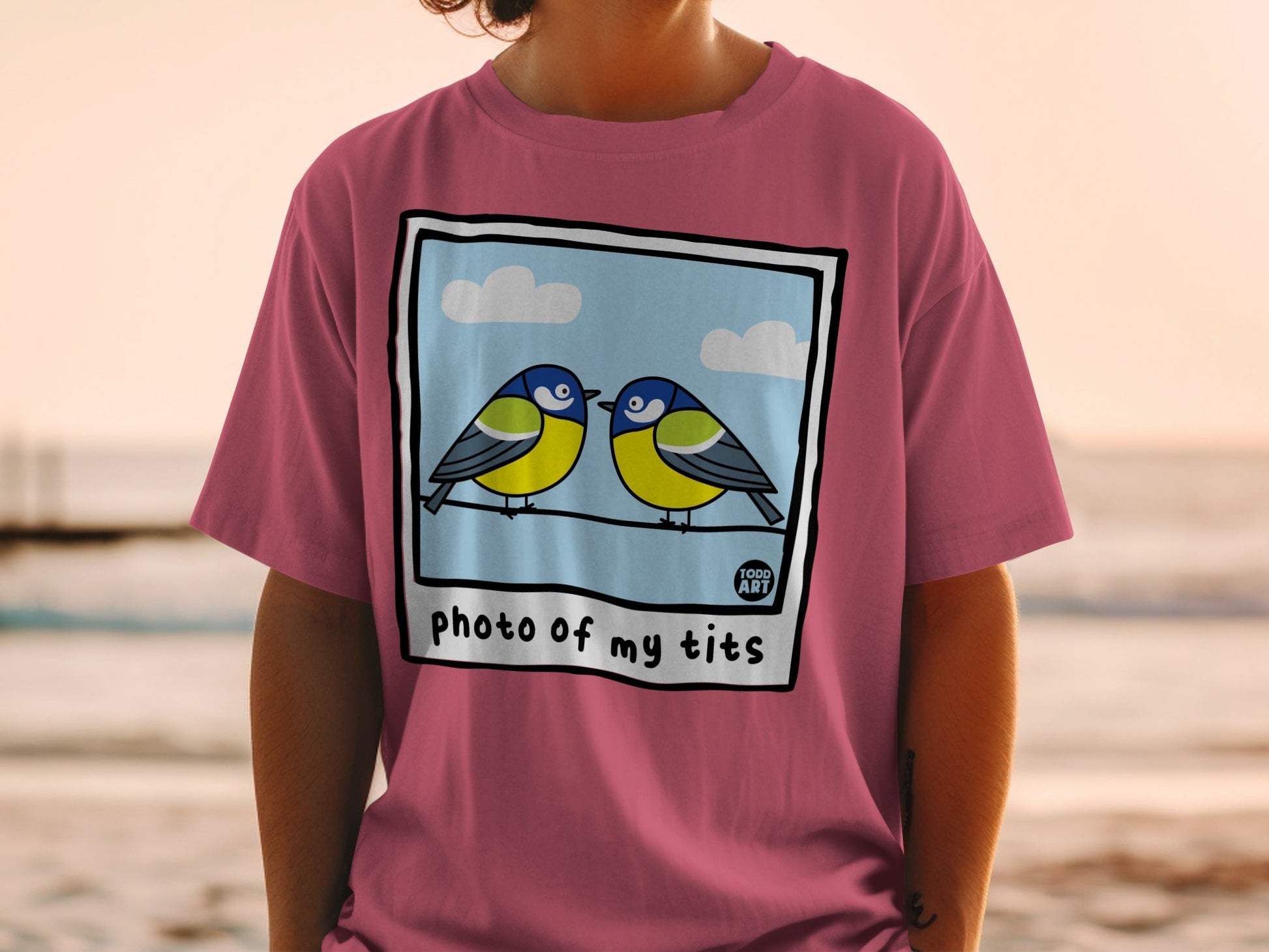 Two blue tits perched on a wire, on a t-shirt.