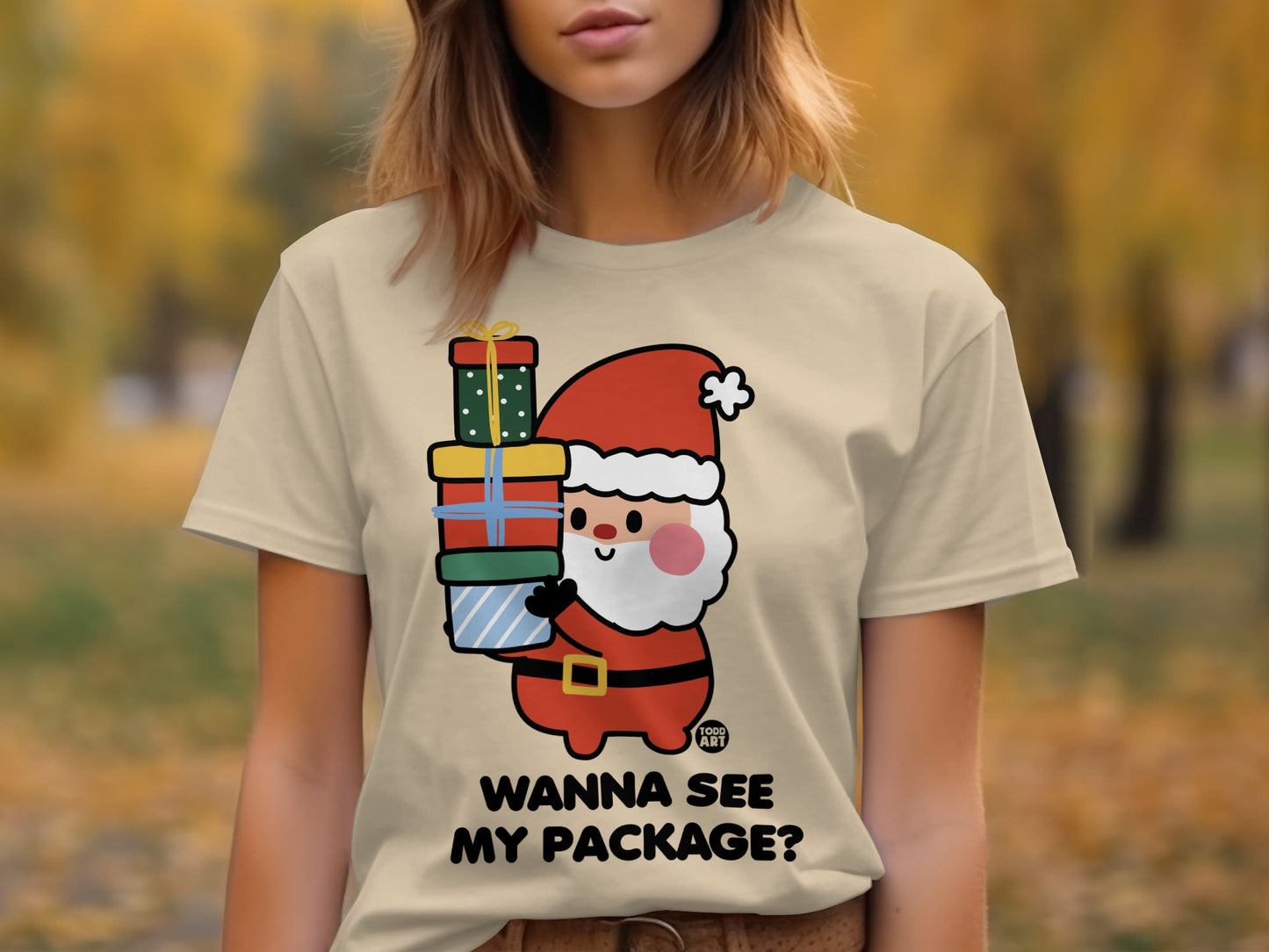 Festive Santa Graphic Tee Wanna See My Package shirt
