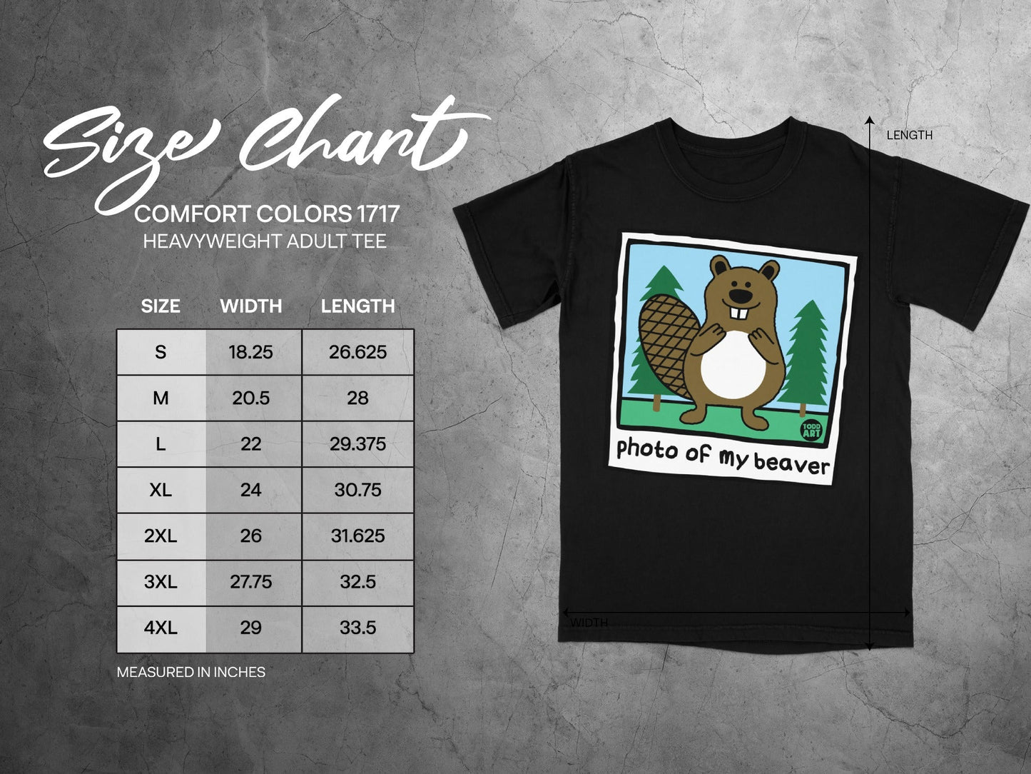 T-shirt size chart with beaver graphic and "photo of my beaver" text.