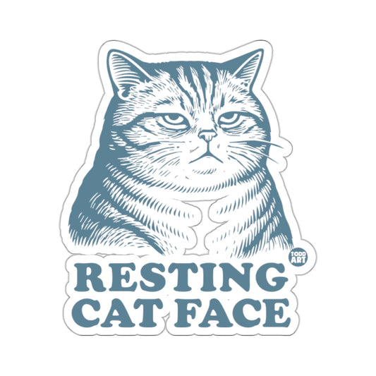 Resting Cat Face Funny Grumpy Animal Design 