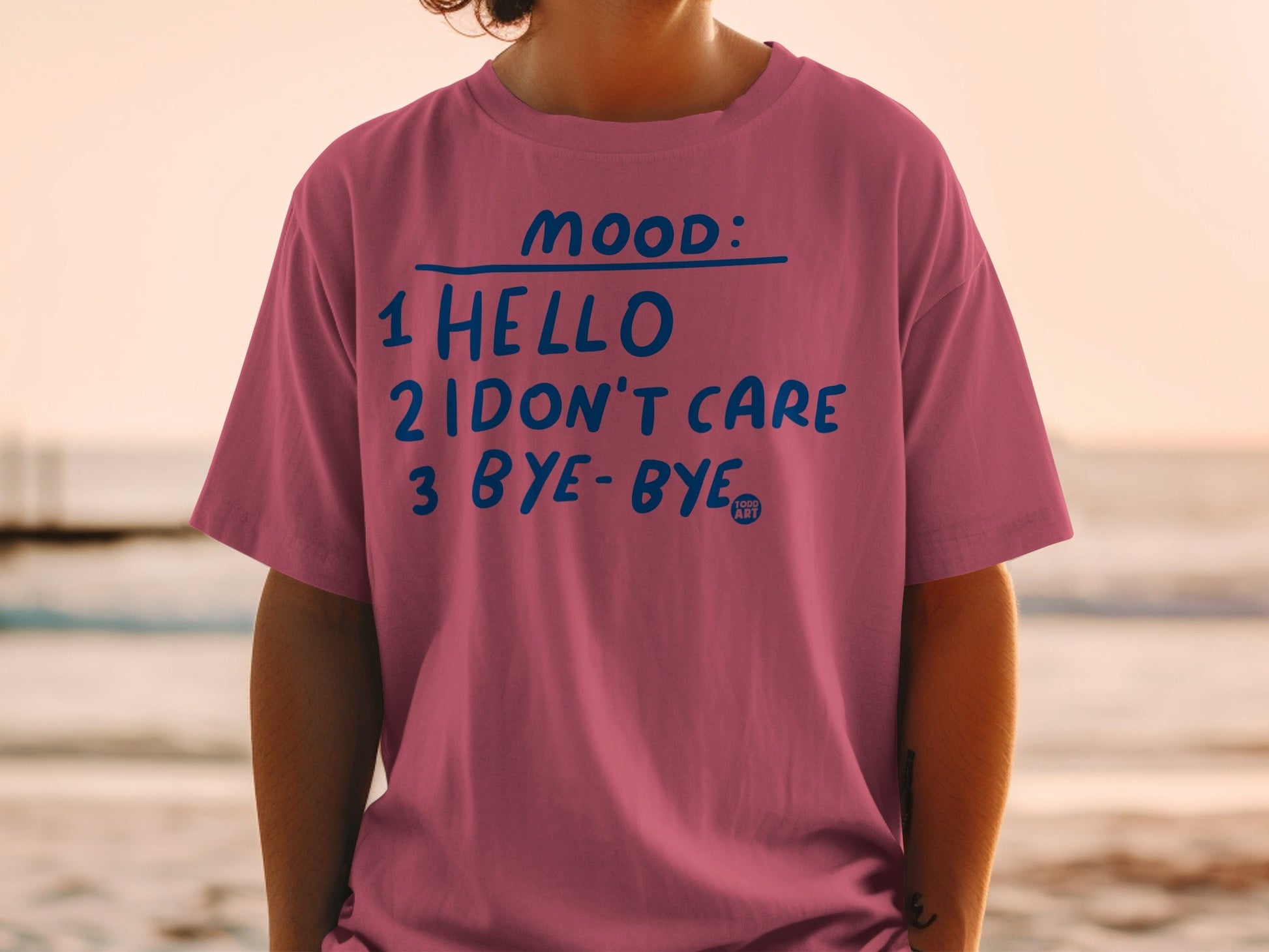 Hello I Don't Care Bye-Bye Mood Statement T-Shirt