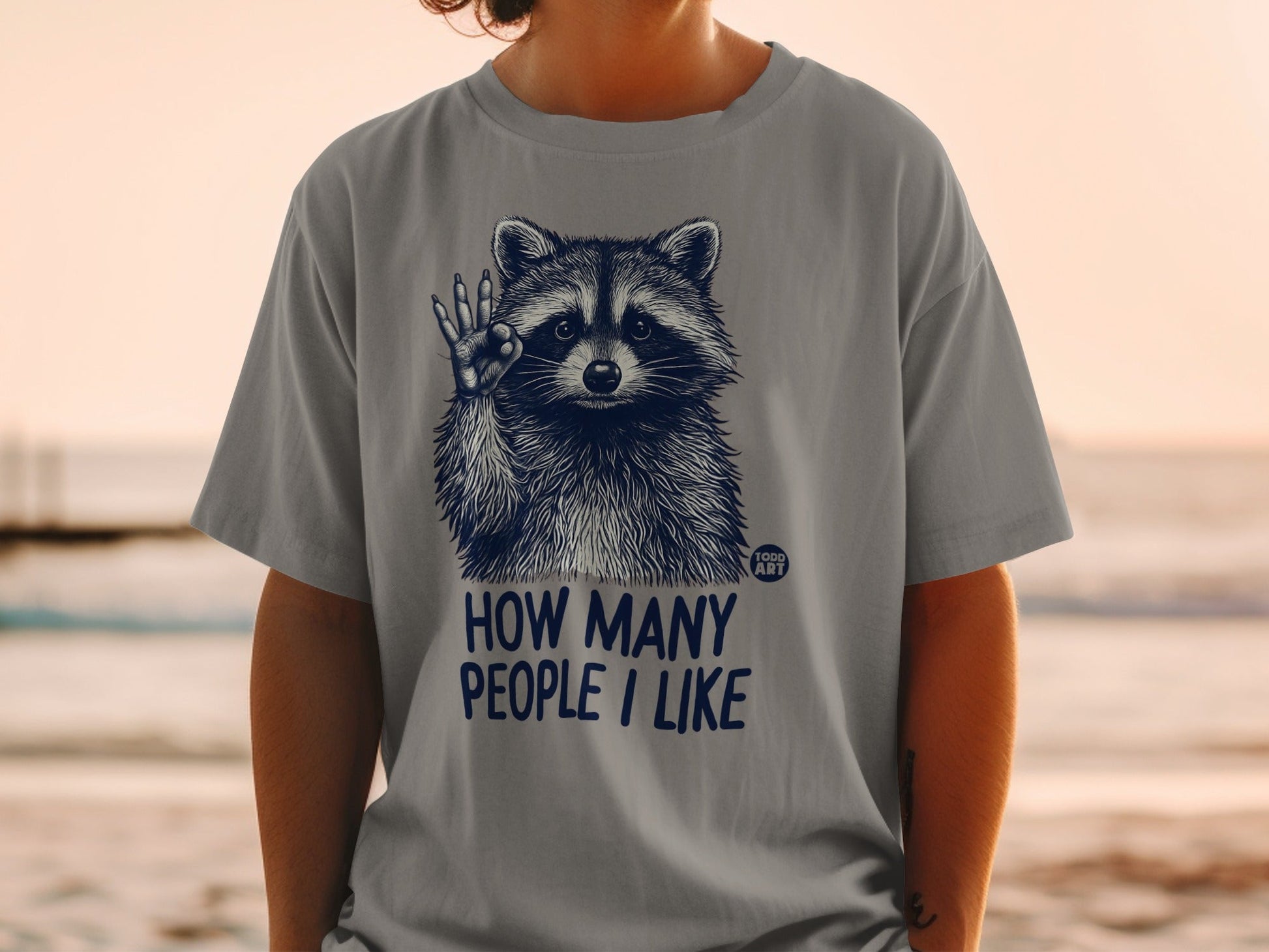 Gray t-shirt with a raccoon and the text "HOW MANY PEOPLE I LIKE".