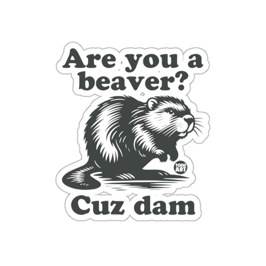 Are You a Beaver Cuz Dam Sticker for Fun and Humor