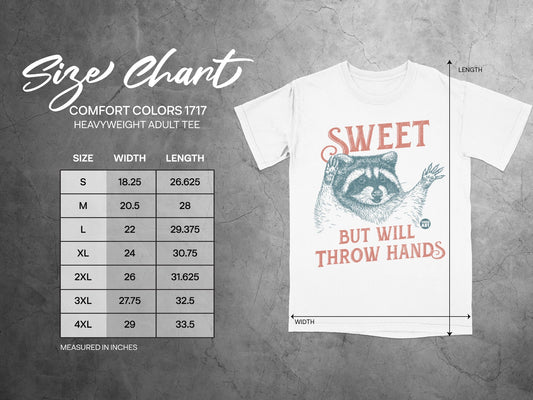 Comfort Colors 1717 t-shirt size chart and graphic with raccoon illustration.