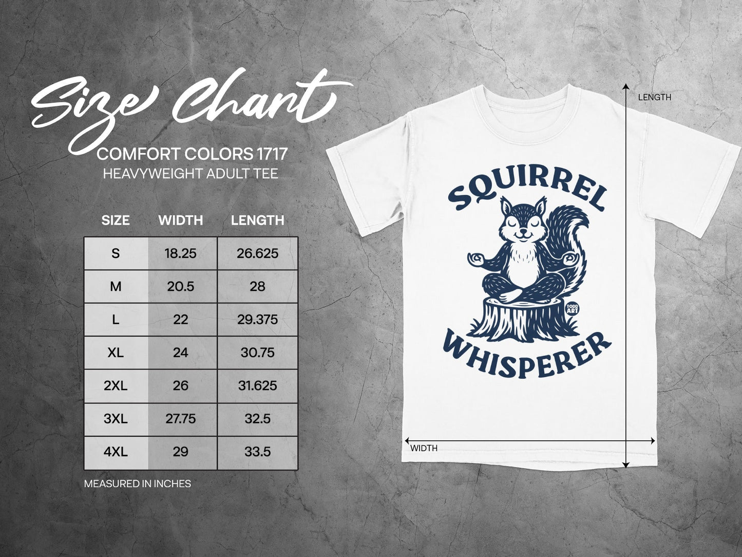 Size chart for a white t-shirt with a squirrel graphic, listing sizes S-4XL.
