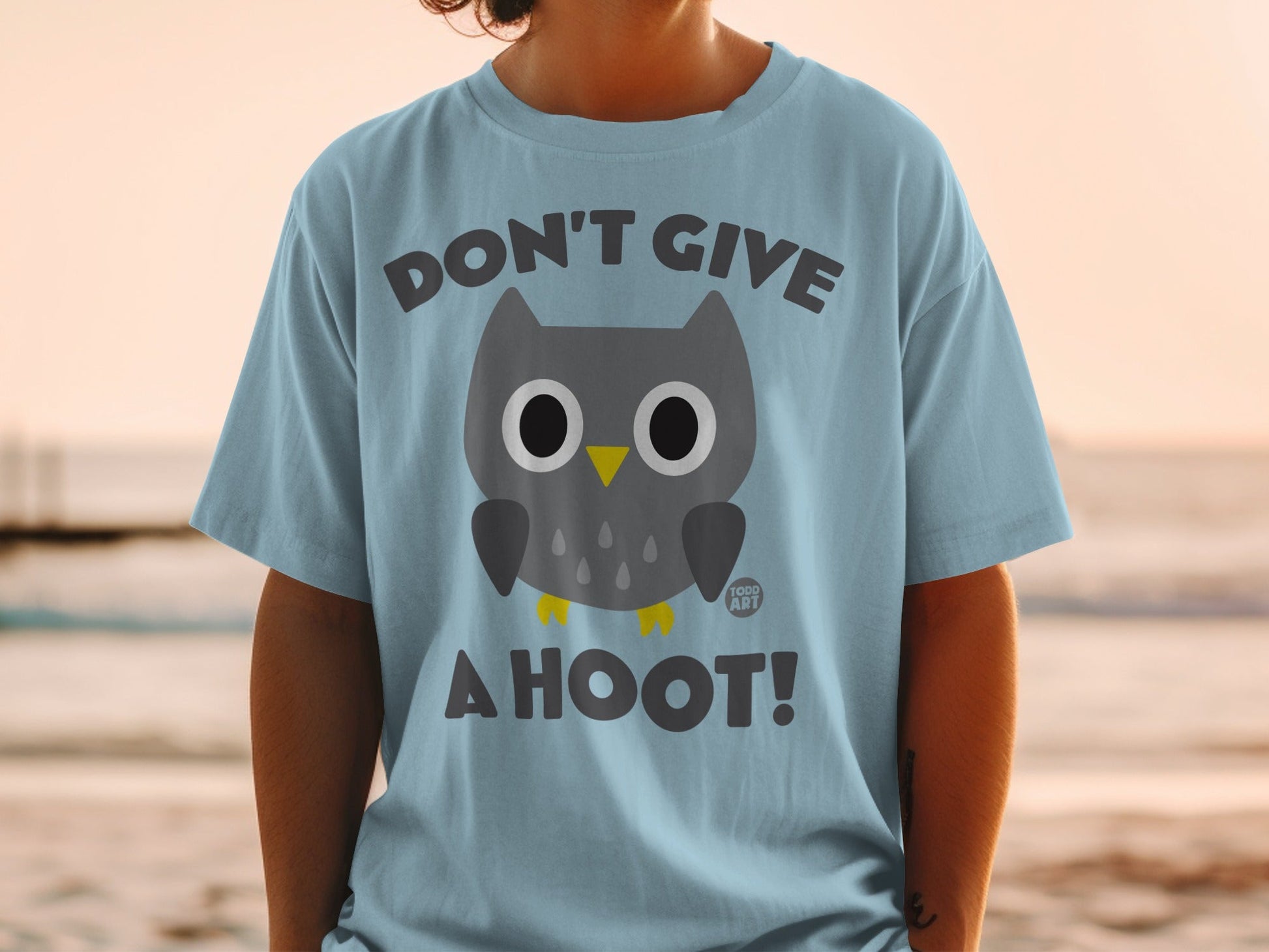 Light blue t-shirt with a cartoon owl graphic and text "DON'T GIVE A HOOT!".