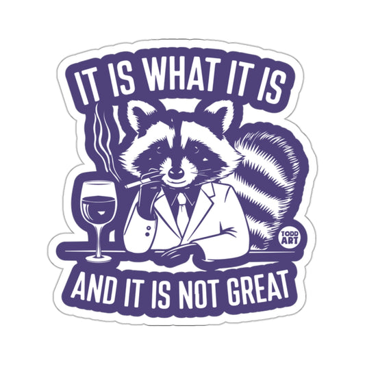It Is What It Is And It Is Not Great 