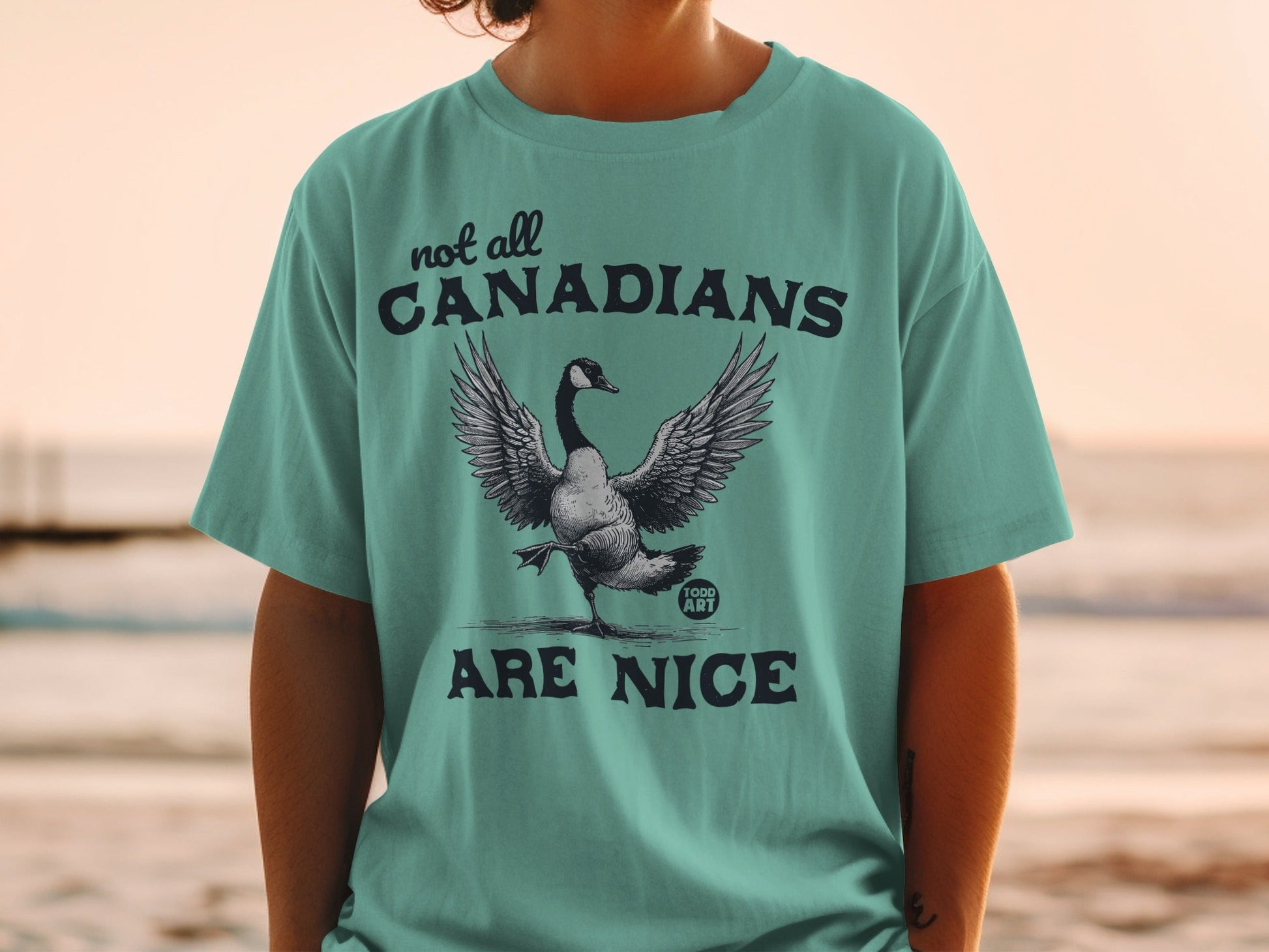Not All Canadians Are Nice Graphic T-Shirt