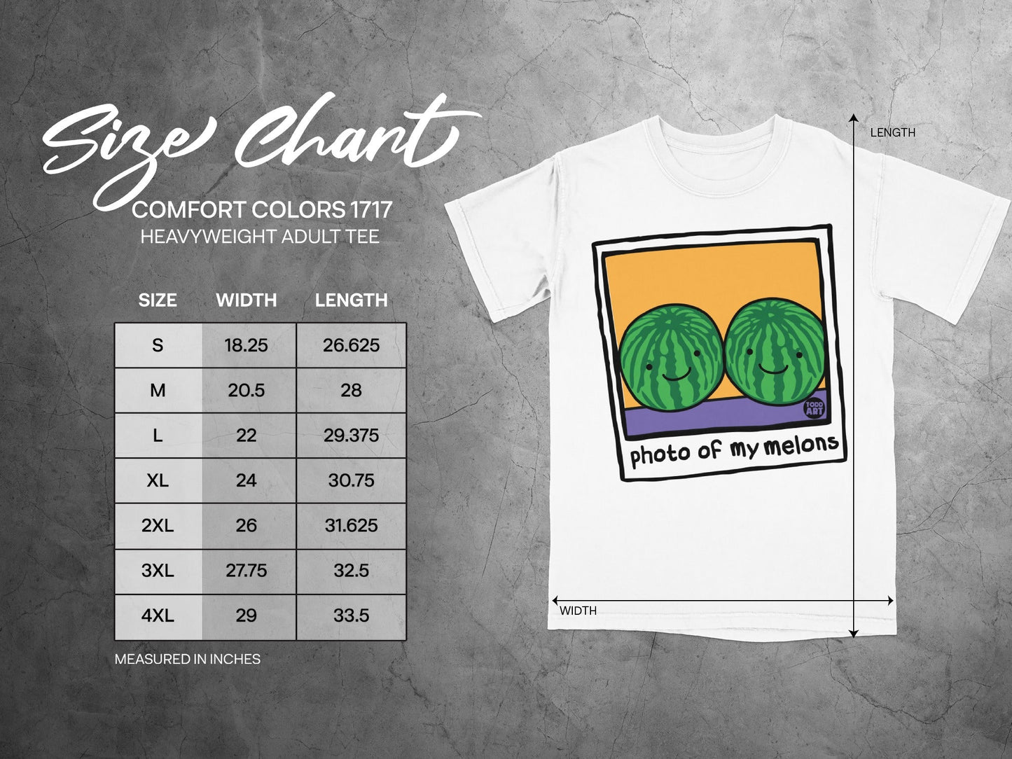 Todd Art "photo of my melons" t-shirt size chart with measurements.
