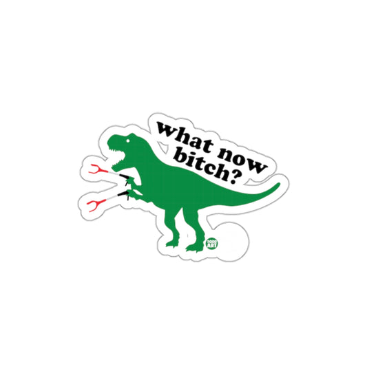Funny Dinosaur What Now Bitch Sticker for Fun