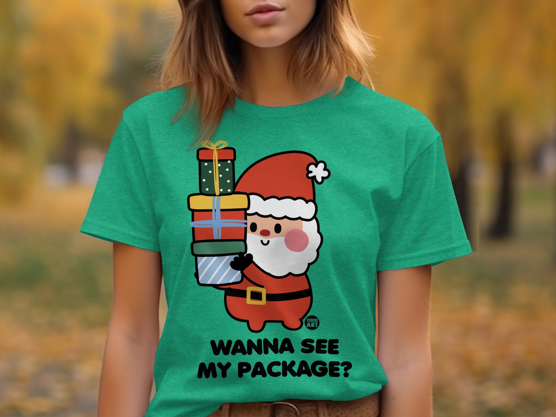 Christmas Santa Wanna See My Package Graphic Tee