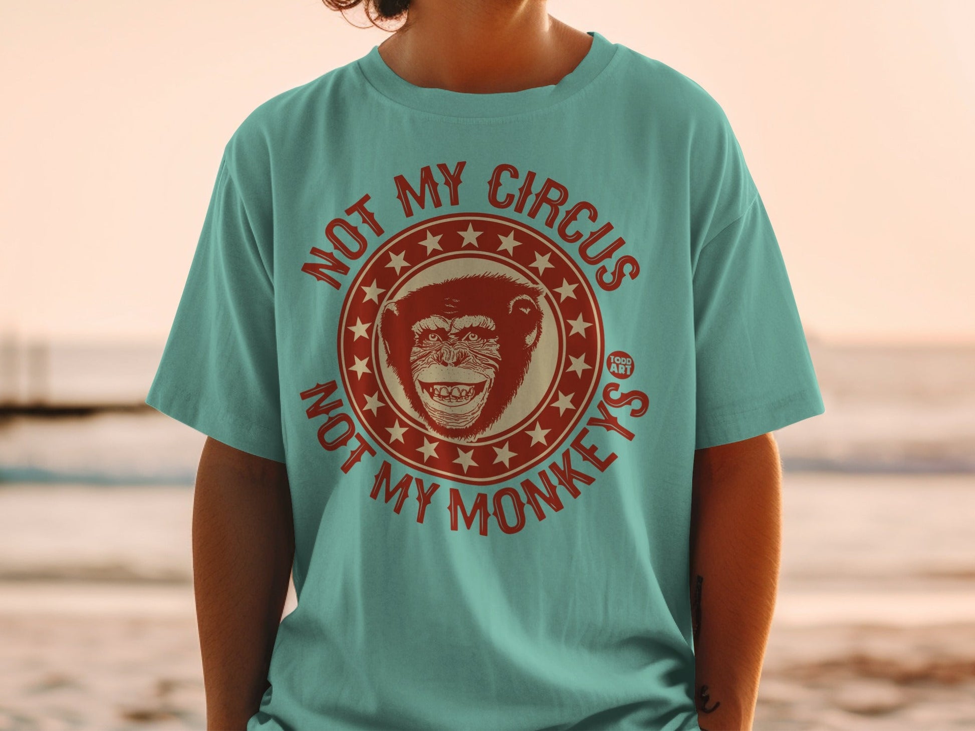 Teal t-shirt with "NOT MY CIRCUS NOT MY MONKEYS" text and monkey graphic.