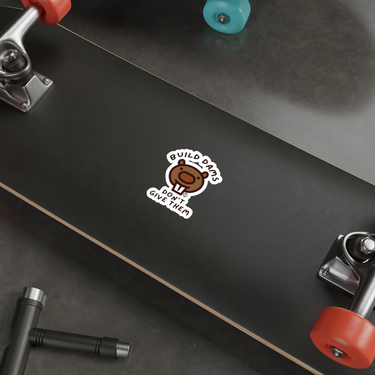 Build Dams Don't Give Them Funny Bear Sticker