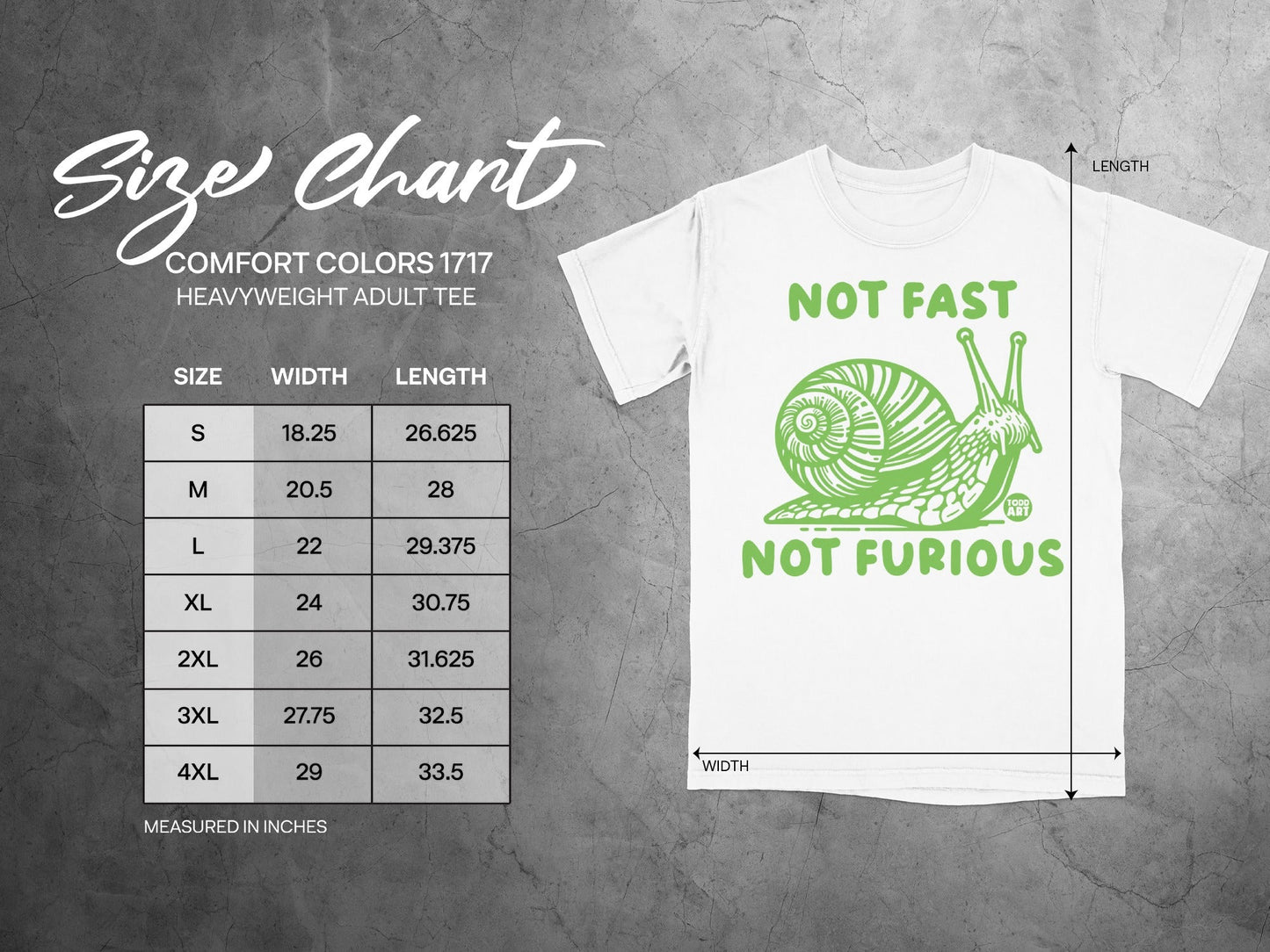 Not Fast Not Furious Snail Graphic Tee Shirt