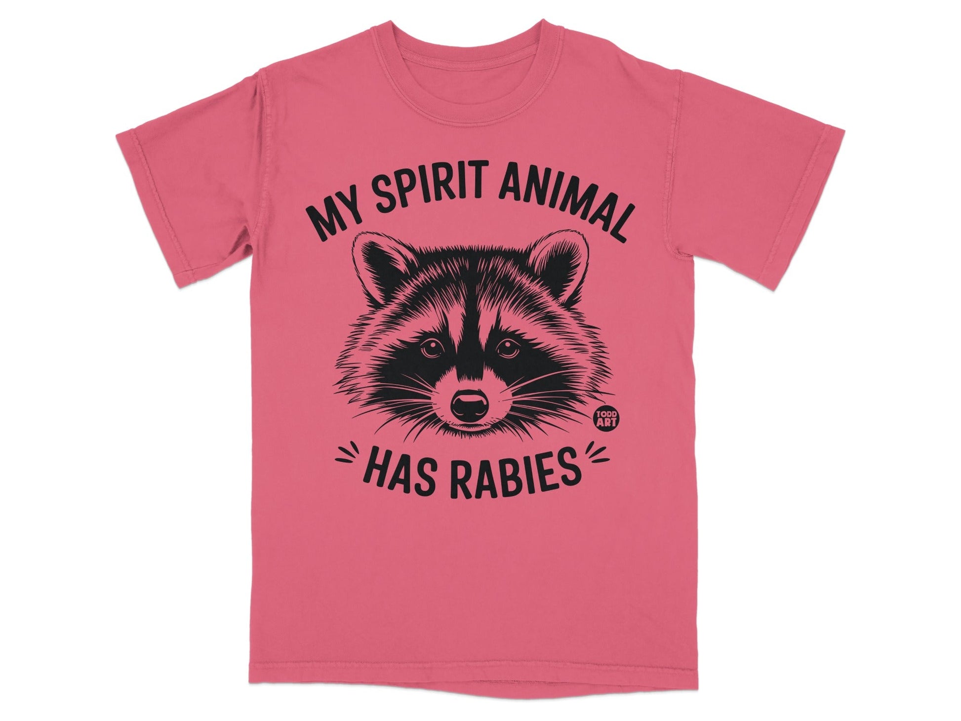T-shirt with a raccoon graphic and text "MY SPIRIT ANIMAL HAS RABIES".