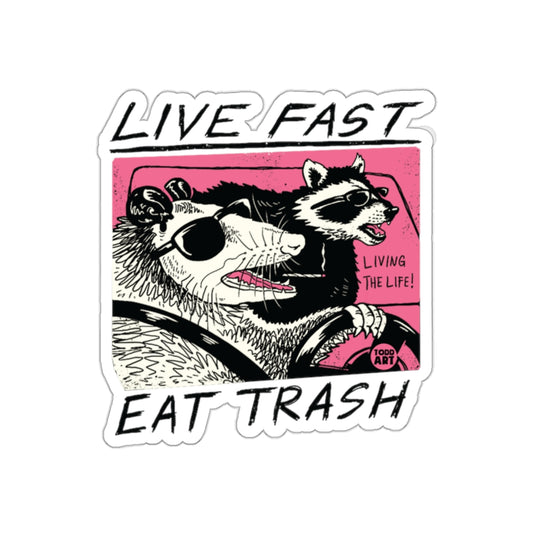Live Fast Eat Trash Opossum Raccoon Driving Art Stickers