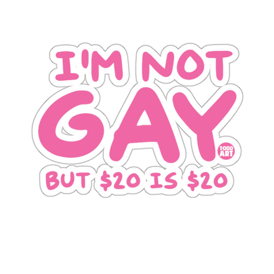 I'M NOT GAY BUT $20 IS $20 Funny Quote product type