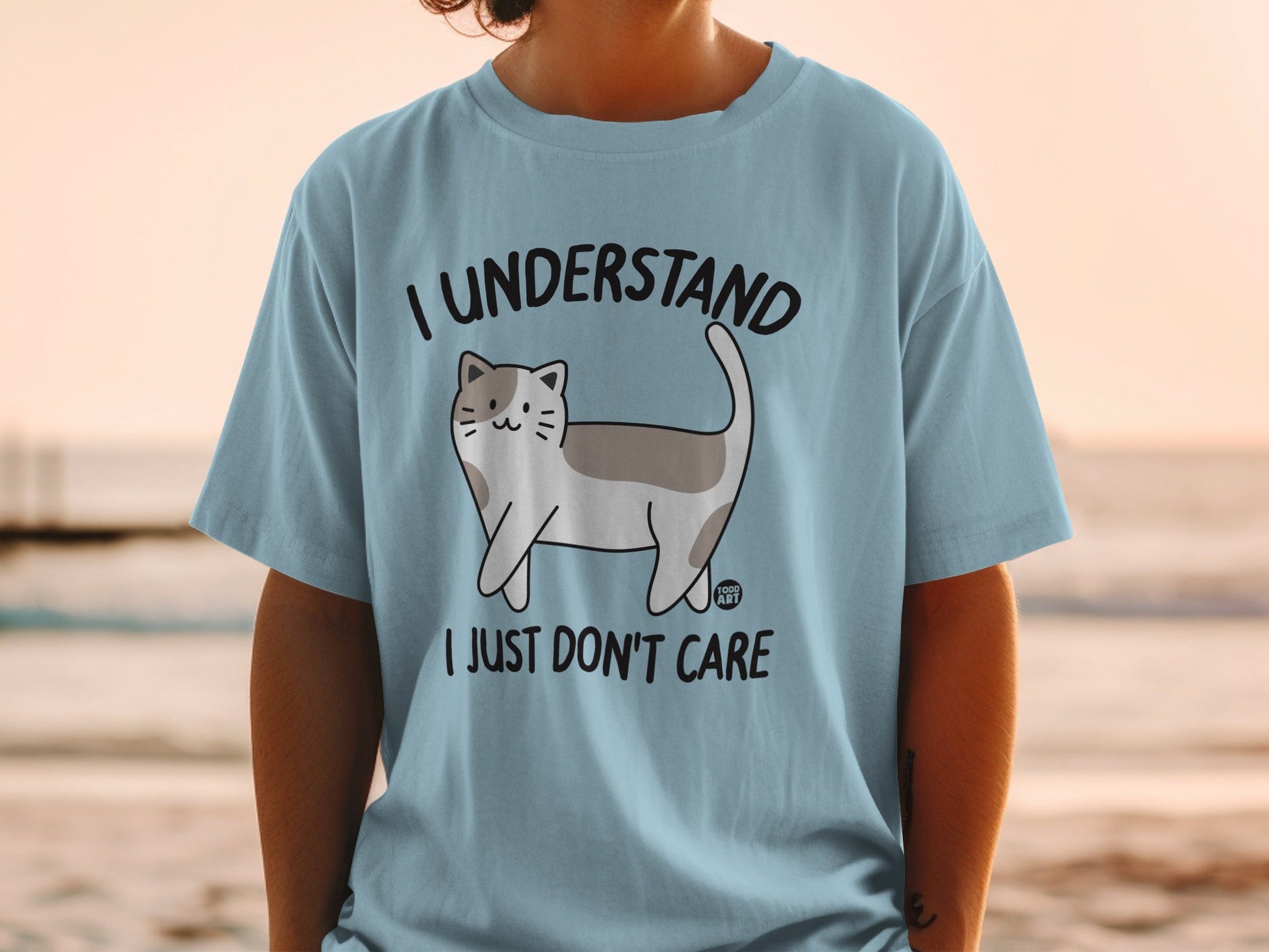 I Understand I Just Don't Care Cat Shirt Perfect Gift Idea