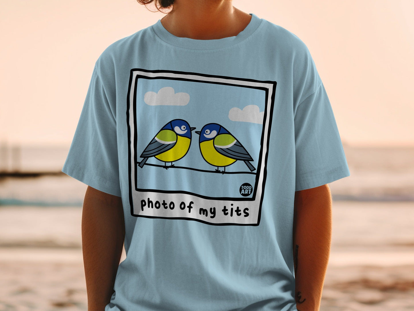 Two blue tits on a wire with clouds, "Photo of my tits" text.