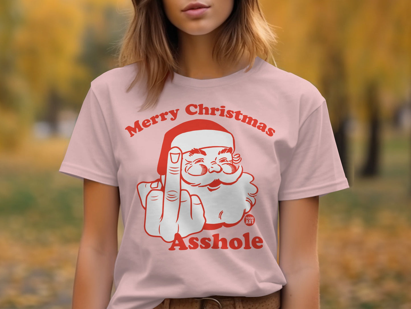 Merry Christmas Asshole Funny Graphic Tee Product