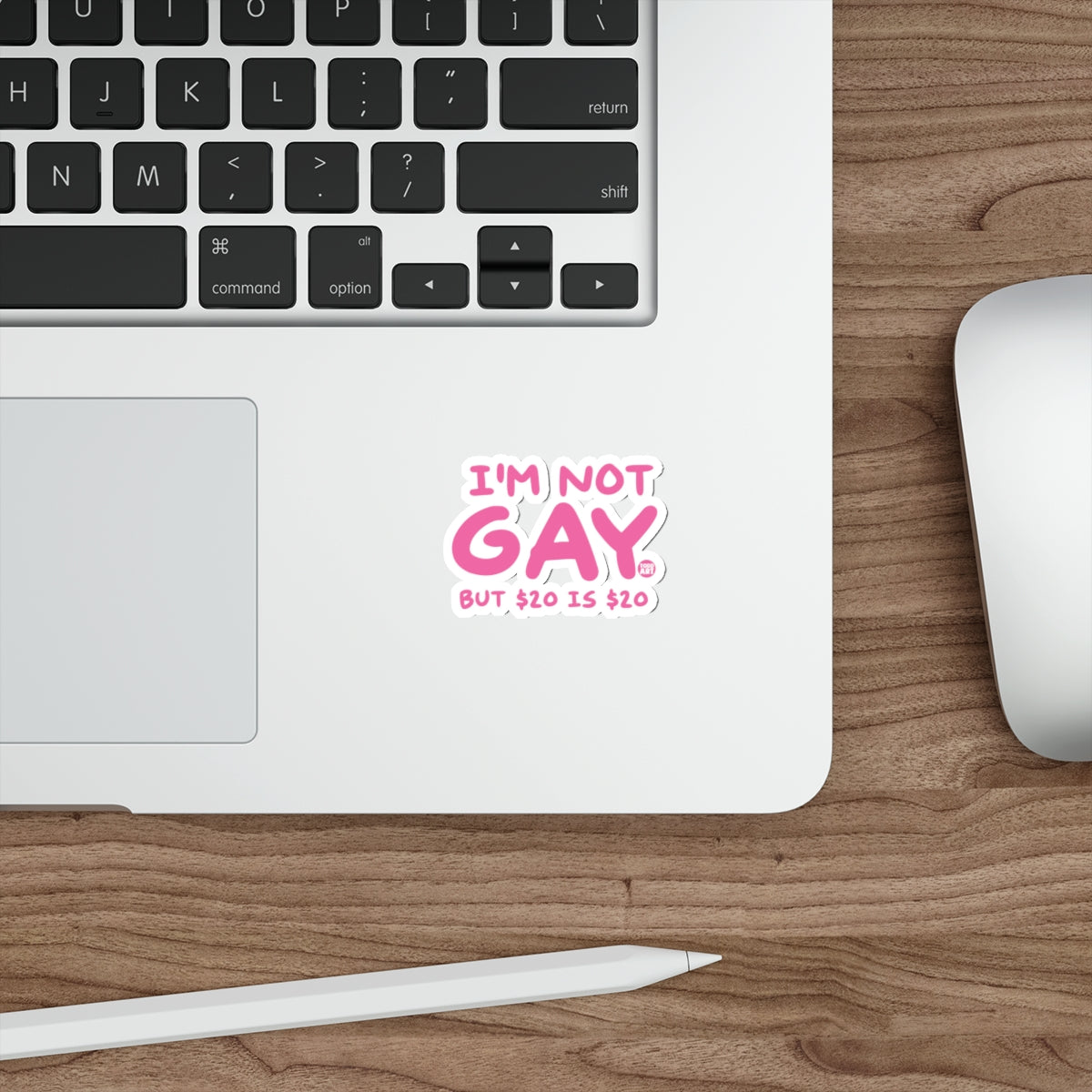 I'M NOT GAY BUT $20 IS $20 funny statement product type