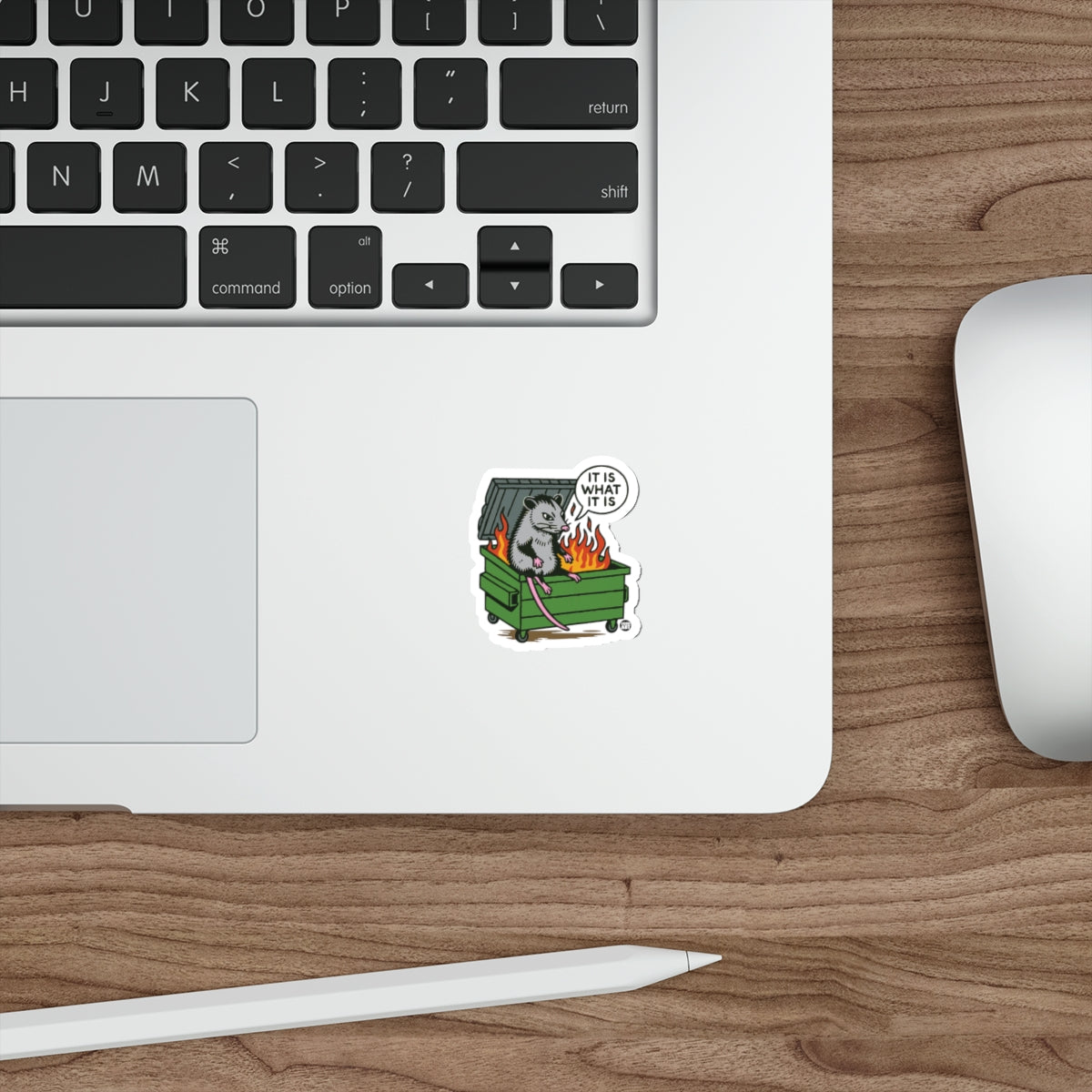 Opossum Sitting IN Dumpster Fire Saying It Is What It Is Stickers