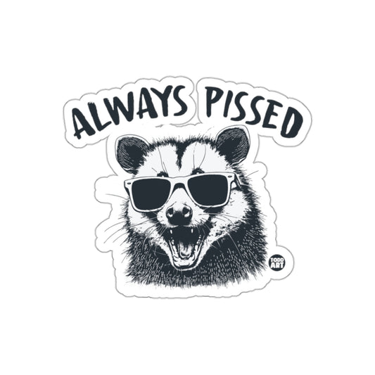Always Pissed Raccoon Wearing Shades Graphic Design Stickers