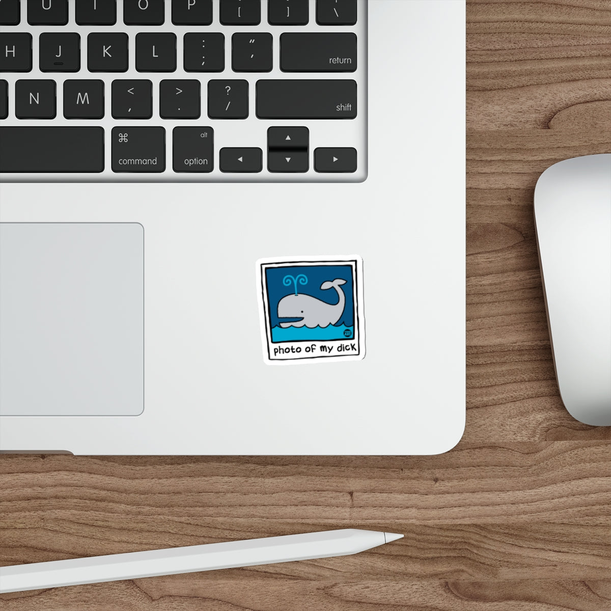 Photo of My Dick Whale Art Funny Sarcastic Stickers
